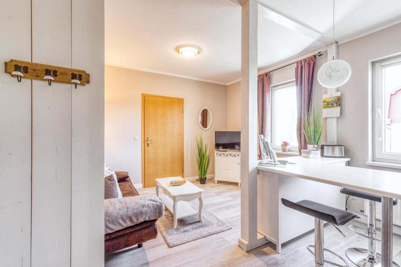 Ferienwohnung Ziesing Friedrichsbrunn Thale Esterno foto